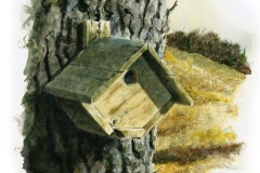 Refuge - The Wren House
