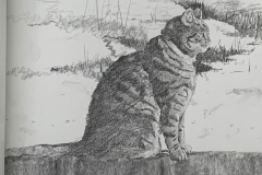 Blue Collar - sketchbook