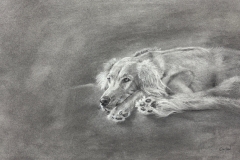 Watching-and-Waiting-web