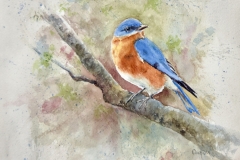 Blue Bird