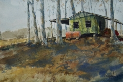 Green Shed