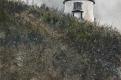 OwlsHeadLight_web