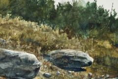 Sassafras Path