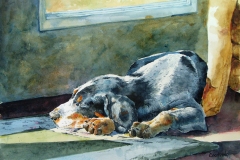 Sunny Spot