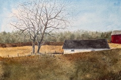The Spring House
